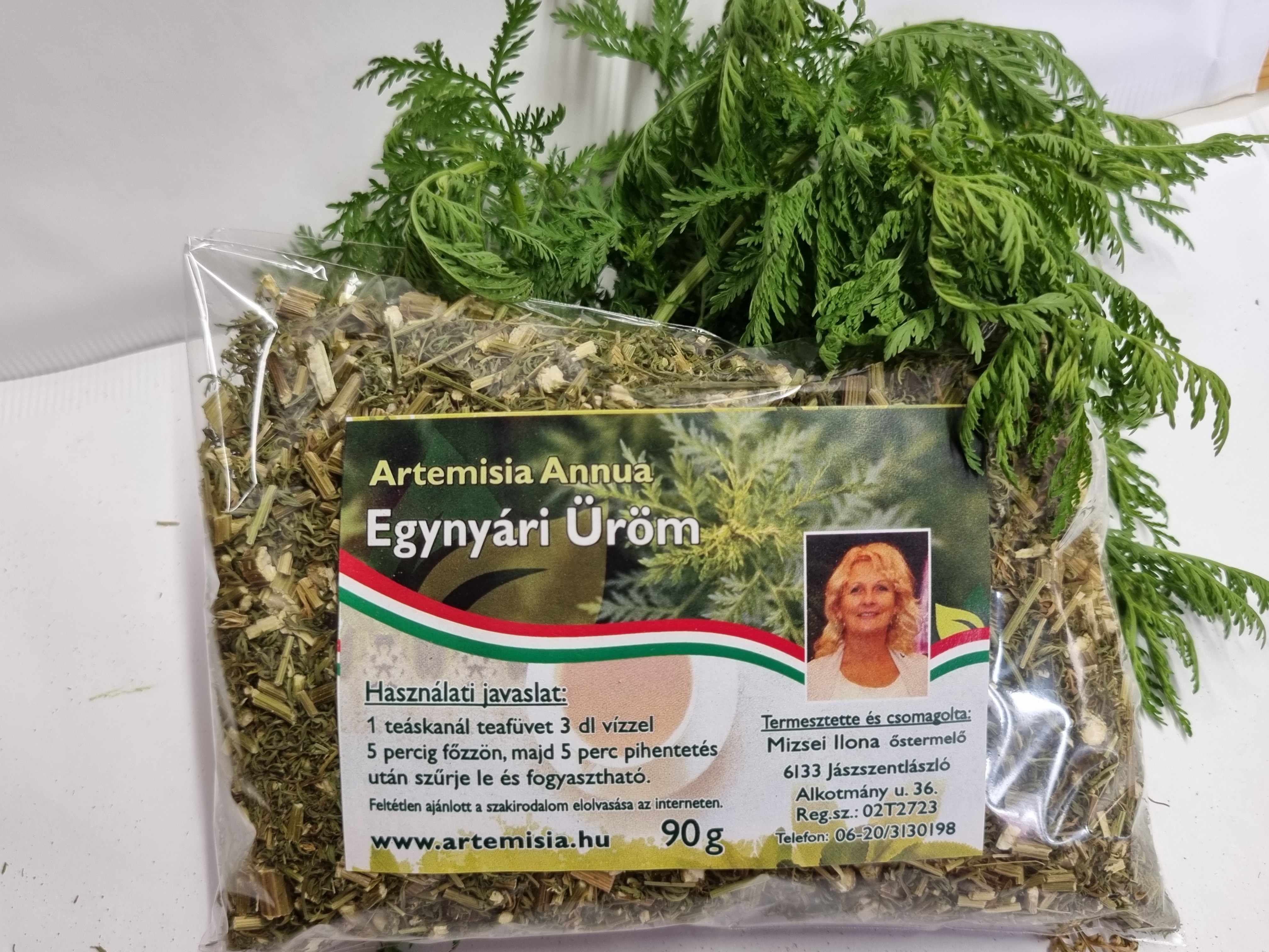 Artemisia teafű